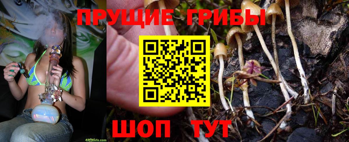 Галлюциногенные грибы ЛСД Мурино